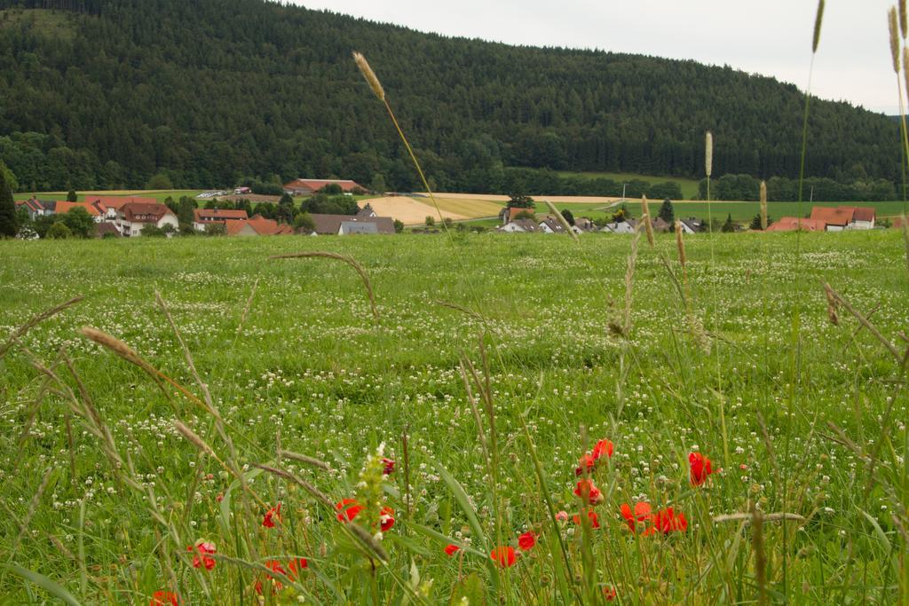 Fewo Alte Schule Willingen  Esterno foto