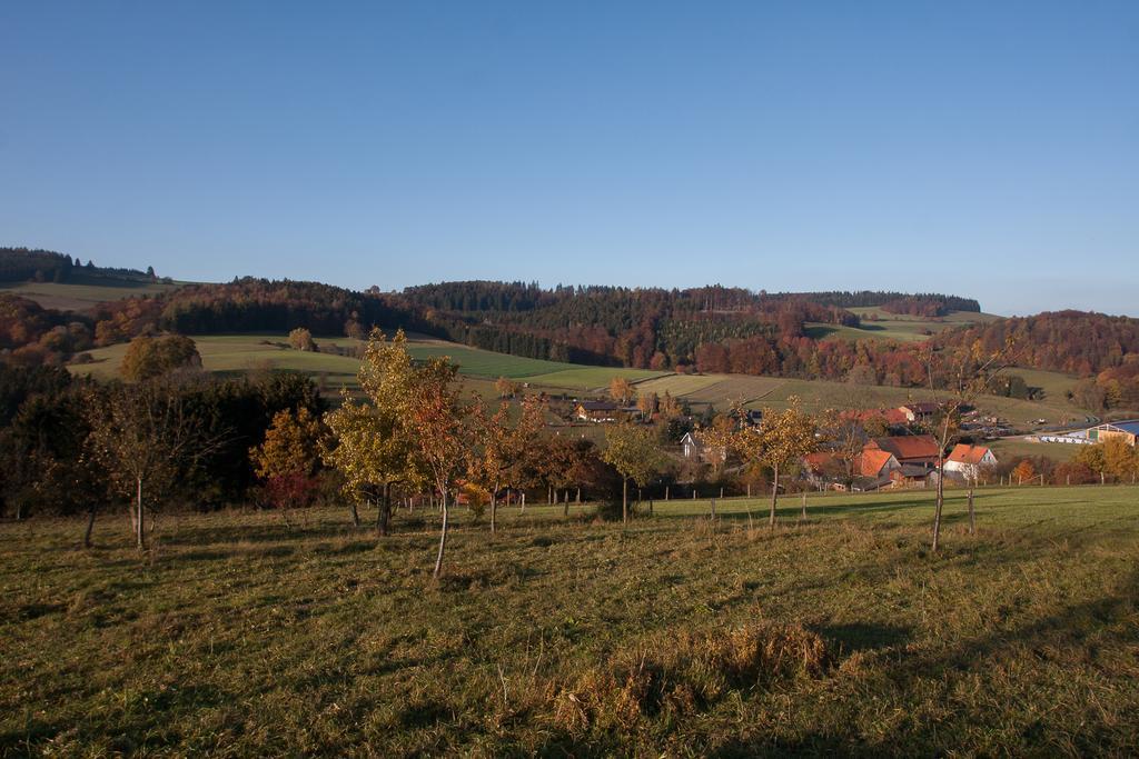 Fewo Alte Schule Willingen  Esterno foto