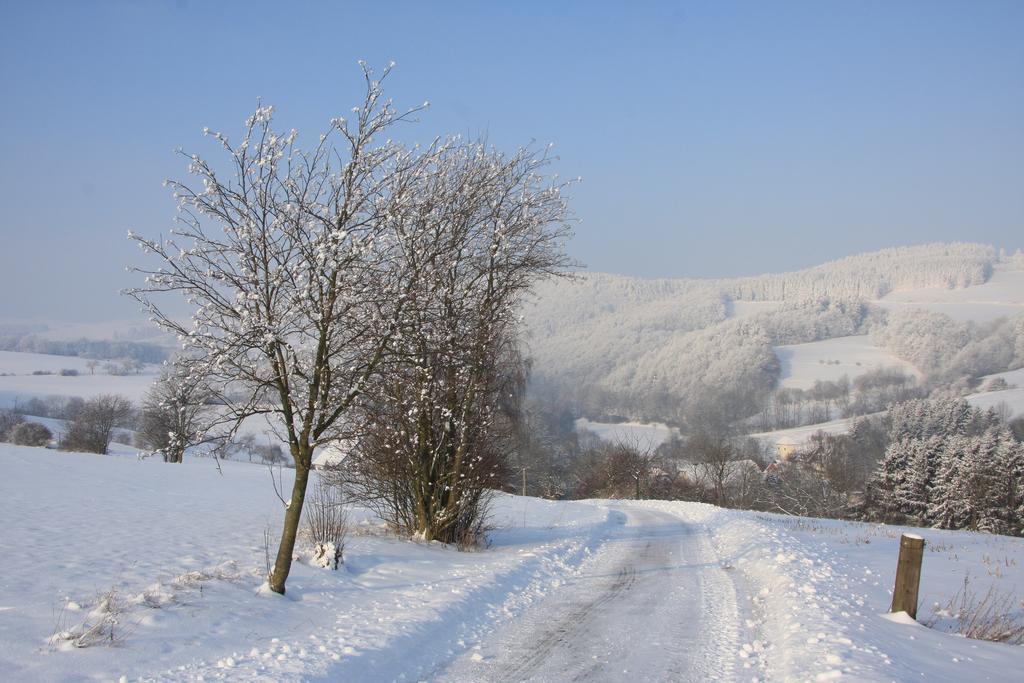 Fewo Alte Schule Willingen  Esterno foto